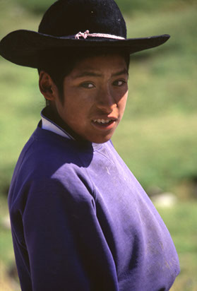 Shepherd Boy - Mark Dodge