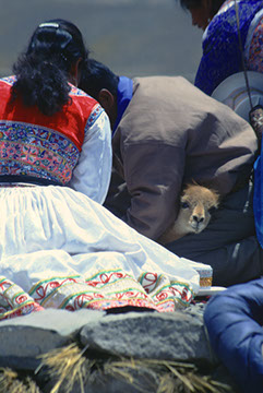 Vicuña Ceremony 5 - Mark Dodge